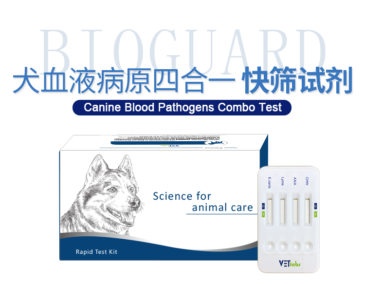 犬血液病原四合一快筛试剂 百衛动物临床检验实验室